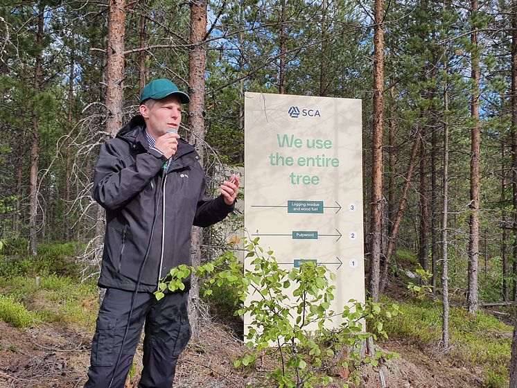 SCA berättade om hur de använder hela trädet i sin produktion.