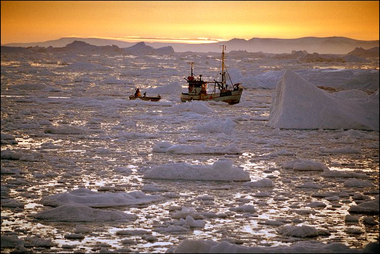 Marina experter samlas: ”Arktis vatten behöver ökat skydd mot klimatförändring och havsförsurning”