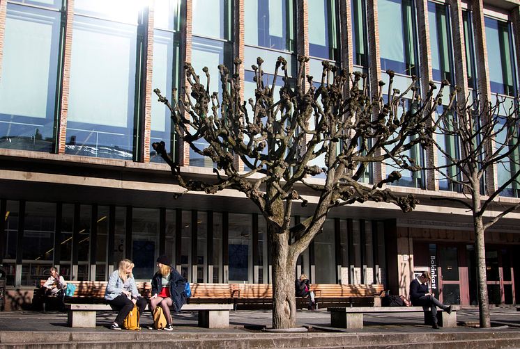 Stadsbiblioteket entré