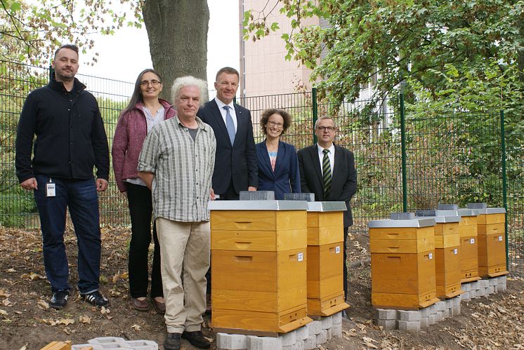 Bienen bei der SIGNAL IDUNA