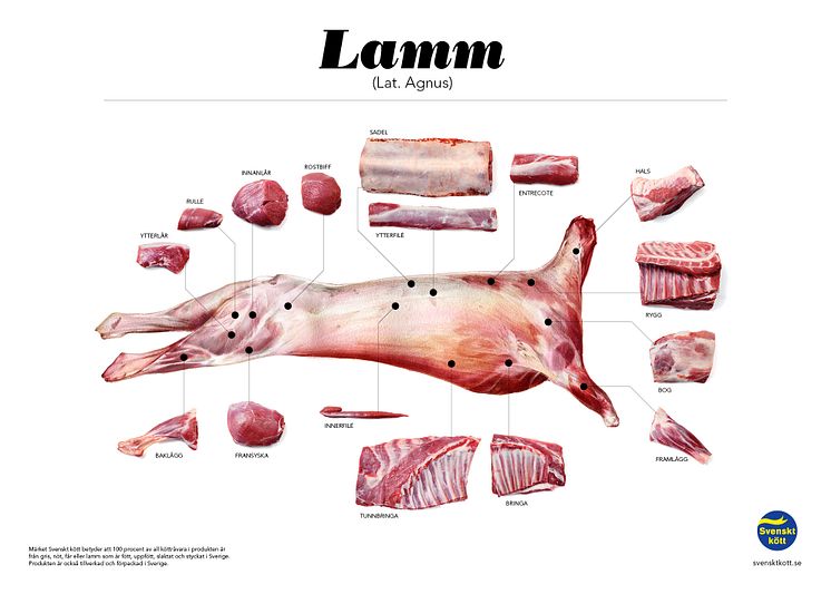 Styckningsschema för restaurang - lamm ej senaste version