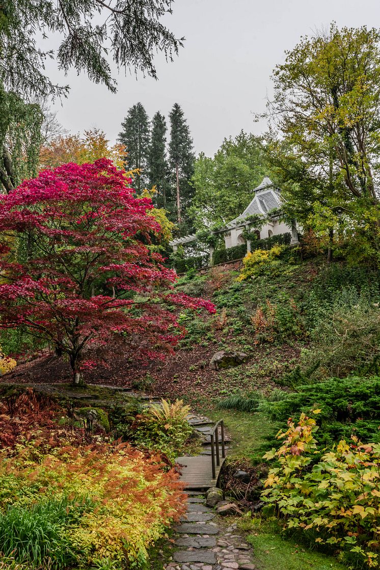 Japanska trädgården