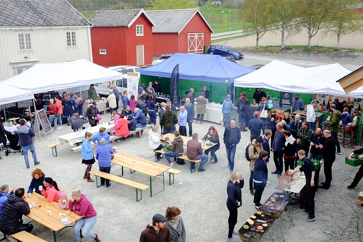 Åpen dag på Hjelseng 2017