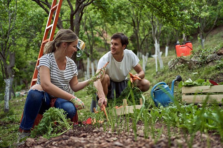 Umweltfreundliche Gartenpflege - Schafwollpellets als natürlicher Dünger im Frühjahr