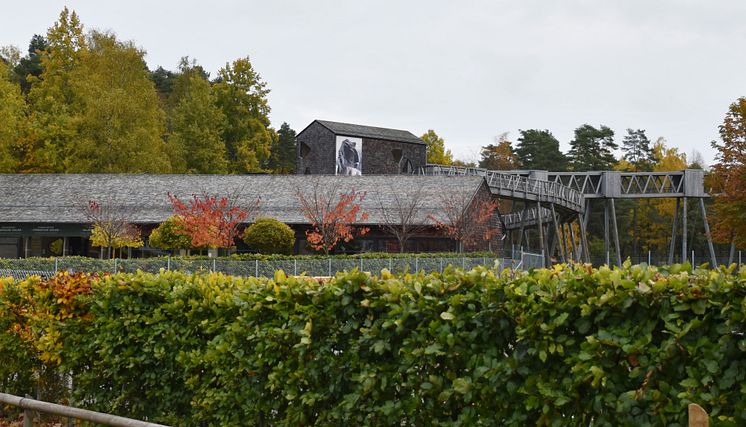 Djurparkens entre och gångbro