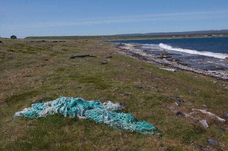 Marine litter, fishing net