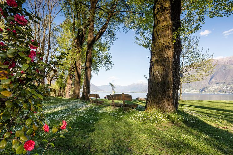 Parco delle Camelie © Alessio Pizzicannella
