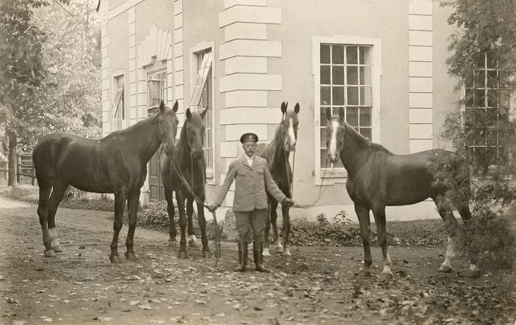 Livstallet på Julita gård användes för vagns- och ridhästar från år 1900 fram till 1935. Säsongen 2014 öppnar originalmiljön för besökare. Foto: Okänd, Nordiska museet.