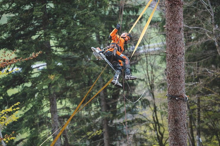 STIHL MS 462 også til arbejde i højden