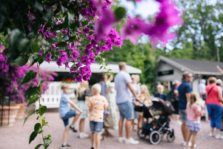Sollidens slott