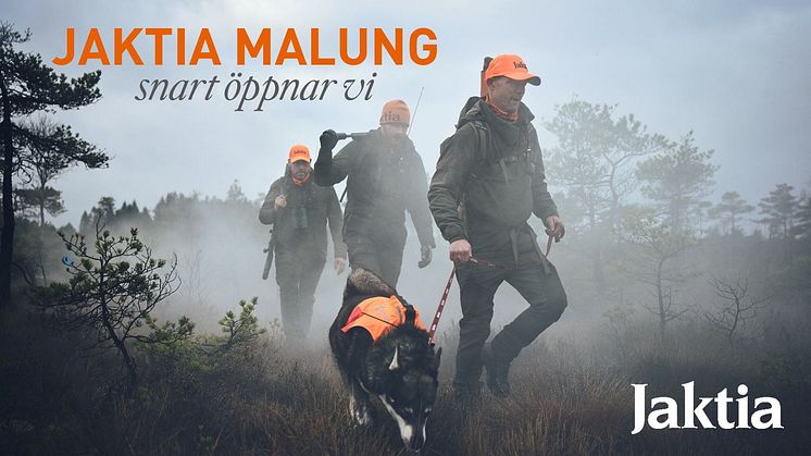 Jaktia_Malung_Top.JPG