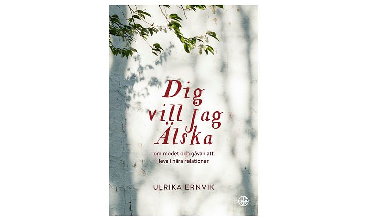 Dig vill jag älska_omslag