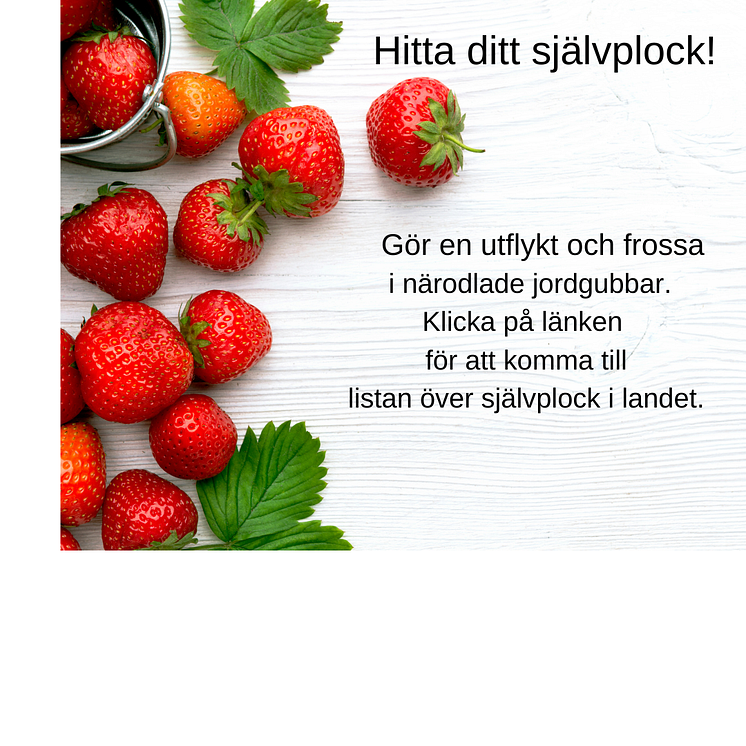 Din stycketext