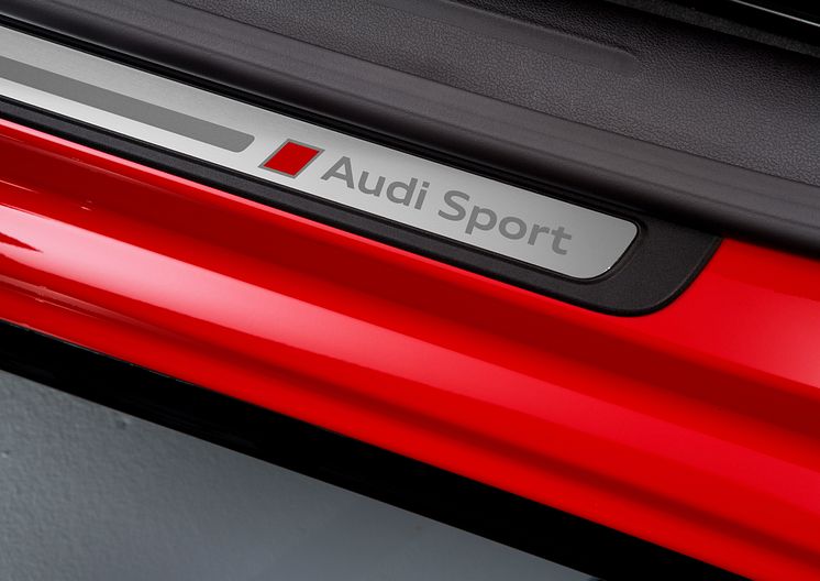 A5 DTM selection - Audi Sport logo på indstigningspanel