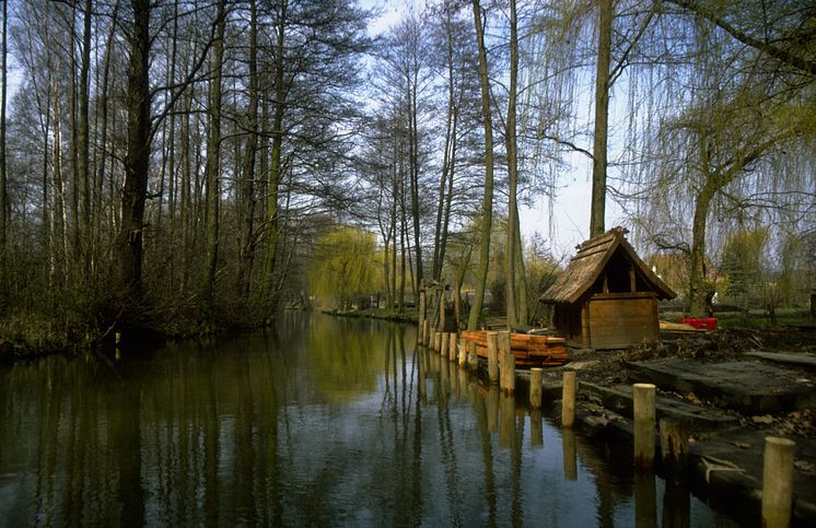 Sejltur til julefest i Spreewald