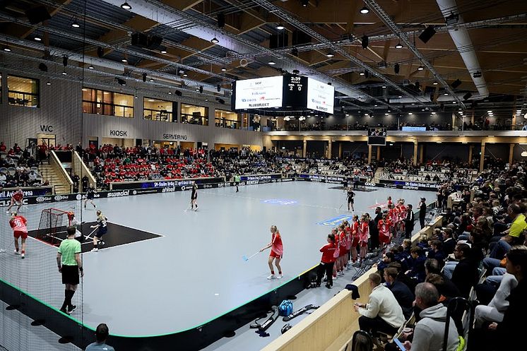 Distriktslags-SM i innebandy