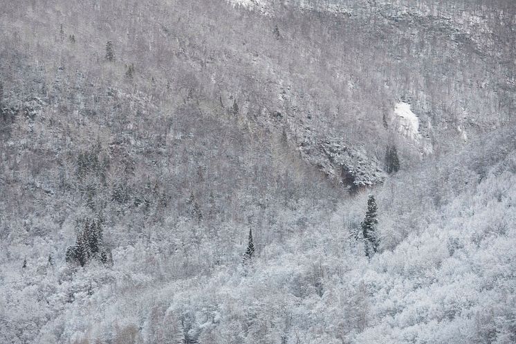 Snö och regn skall passera