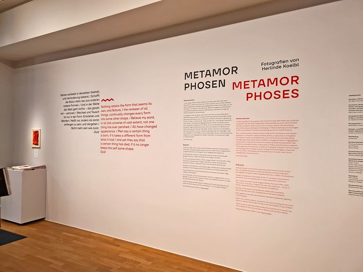 Ausstellung "Metamorphosen" von Herlinde Koelbl - Foto: Elli Flint