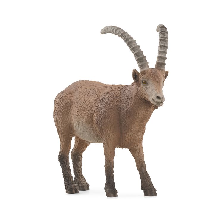 14873_Wild Life_Ibex (c)Schleich