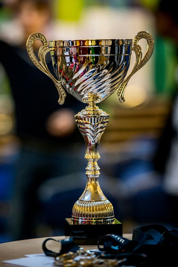 Pokal Lilla Säkerhetspriset 2015