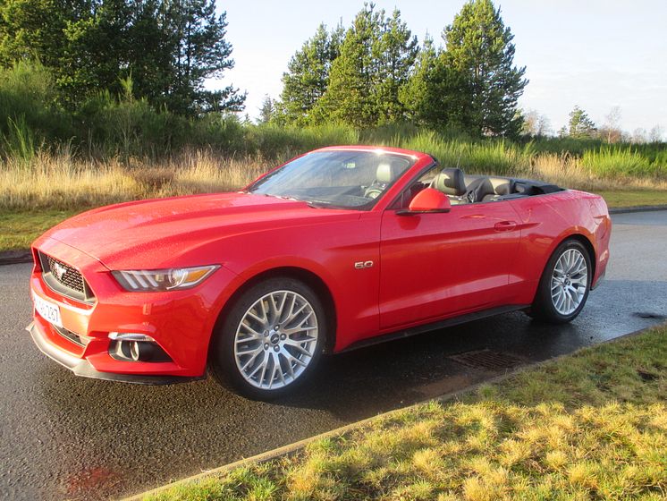 Ford Mustang på tur i Nordjylland