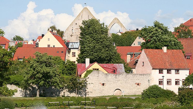 ALMEDALEN_PALOMA