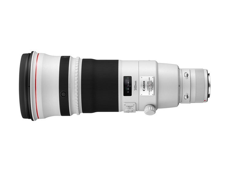 Canon EF 500 mm f/4L IS II USM