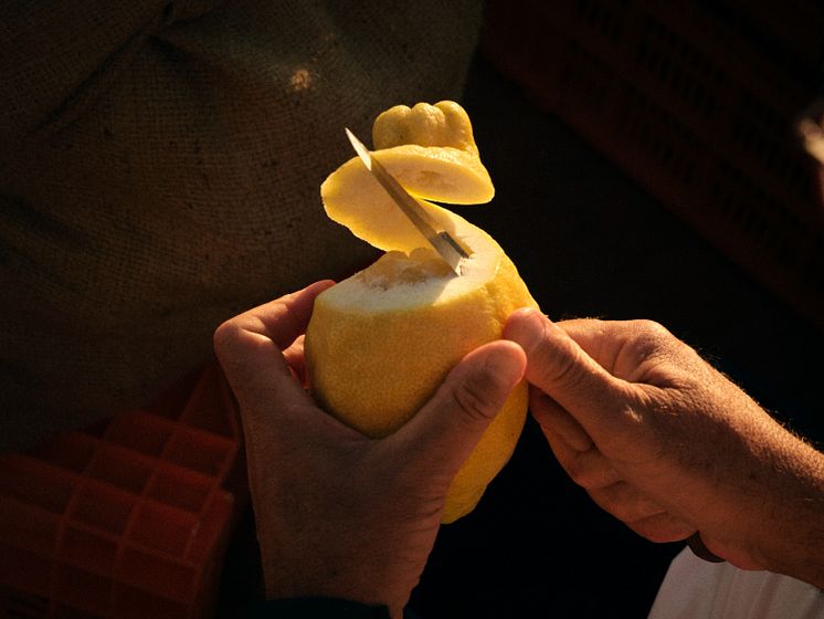 Bombay Premier Cru_Fino Lemon Hand Peeled