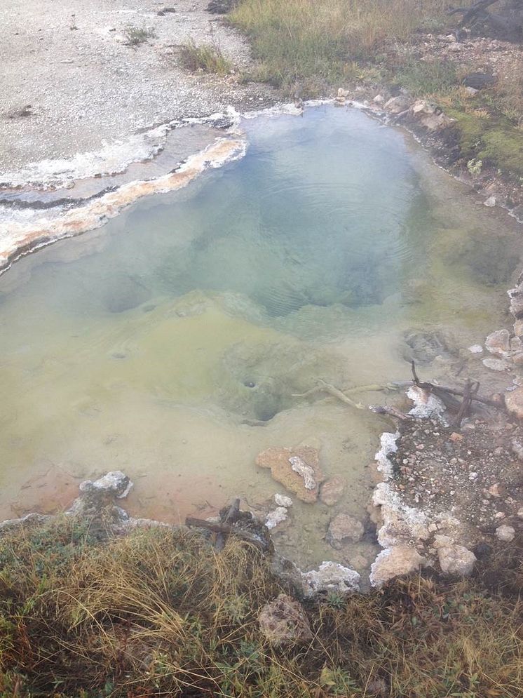 Yellowstone hot spring 