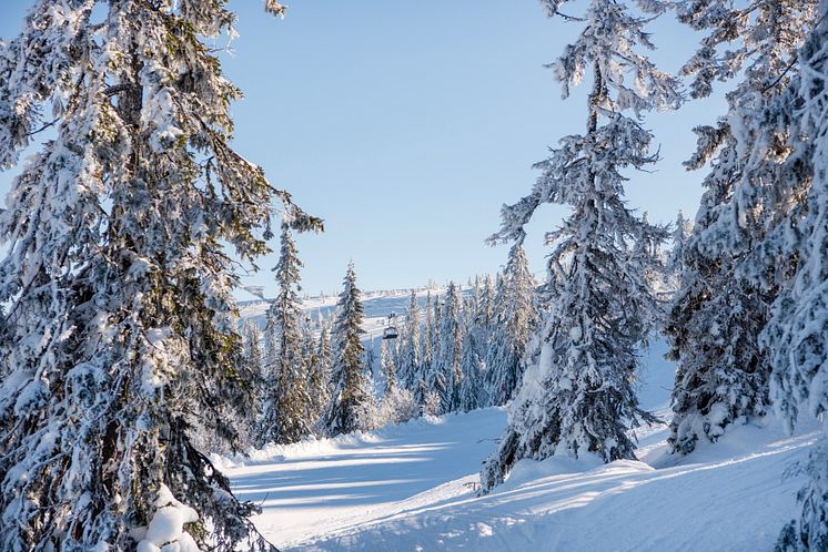 Stöten i Sälen - vackra vyer över fjället 2425