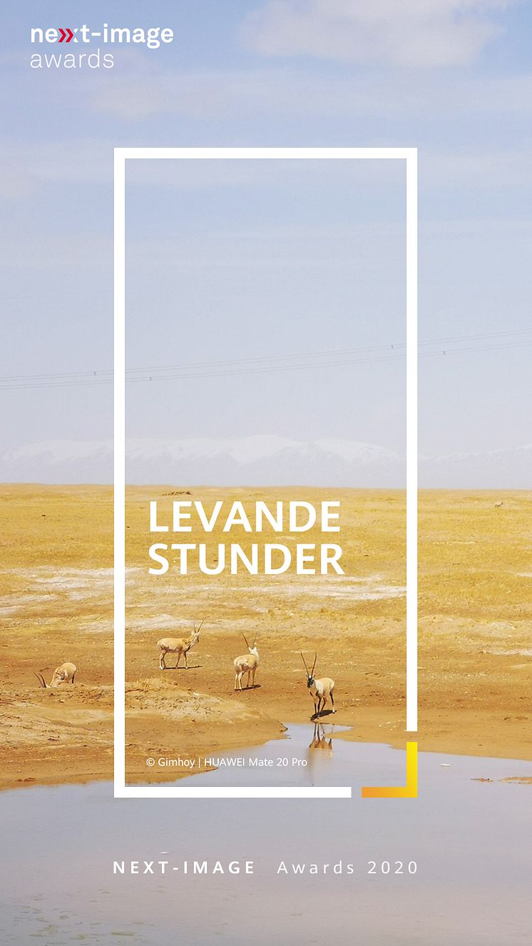 Levande stunder