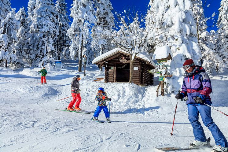 Ski Alpin am Fichtelberg_Foto TMGS_Rainer Weisflog.jpg