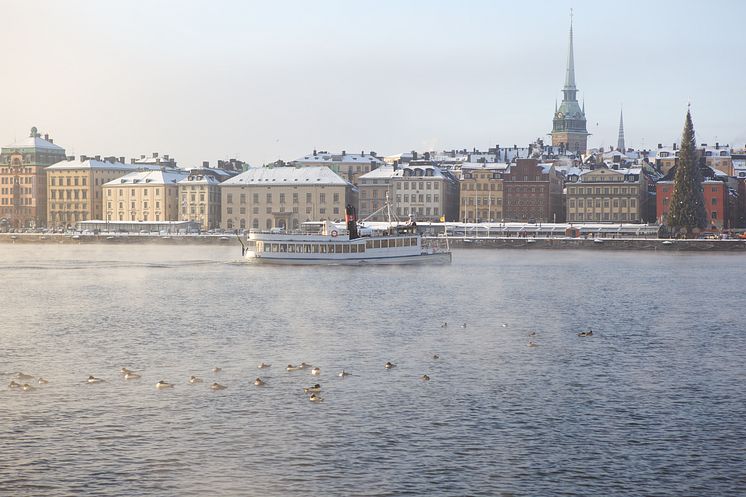 Stockholm Vintertur_Foto_Claes Helaner