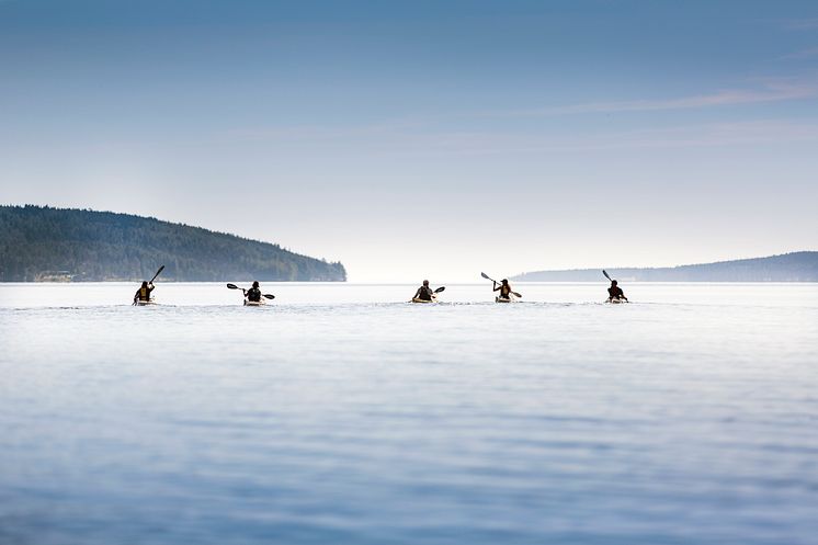 Kajakpaddling under Höga Kusten Hike