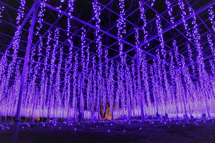 Ashikaga Flower Park(1)