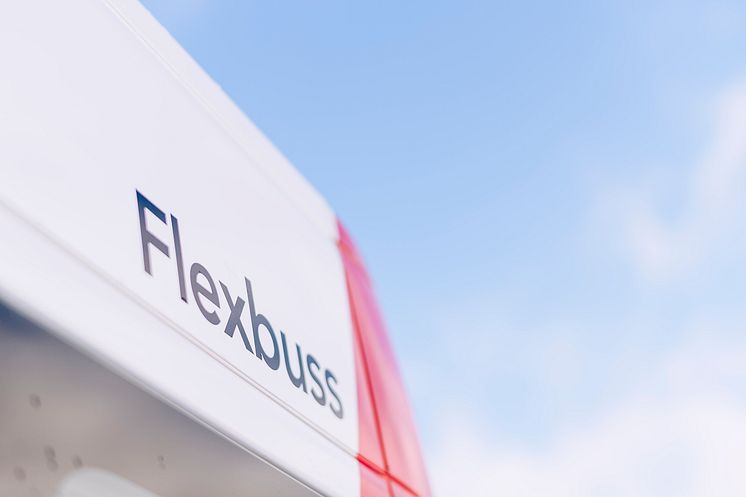 Logo Flexbuss