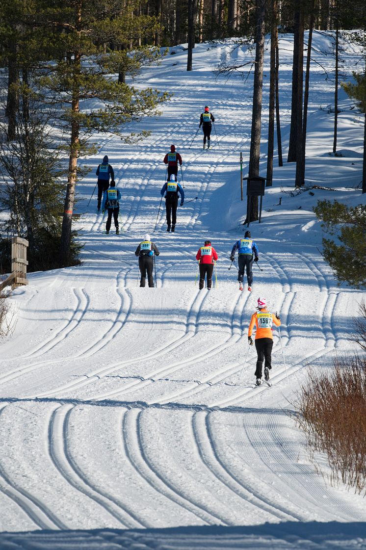 Vasaloppet flera spår