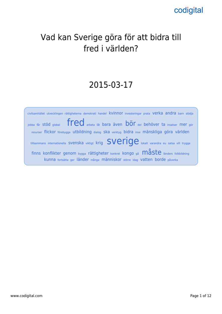 Fredskonferens - och sedan?