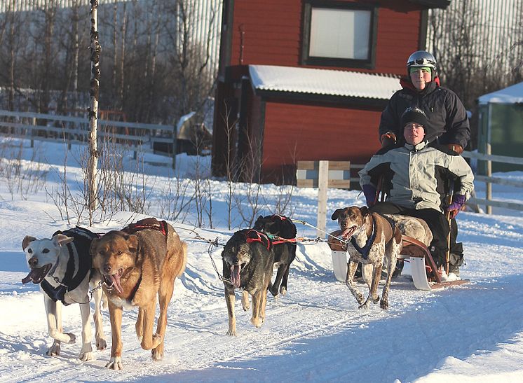 Handikapporg Kiruna Verksamhet 