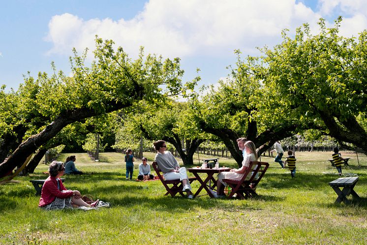 ÄPPELTRÄDGÅRD fika_fix