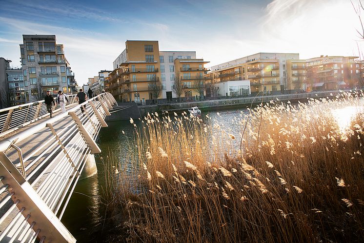 Hammarby sjöstad