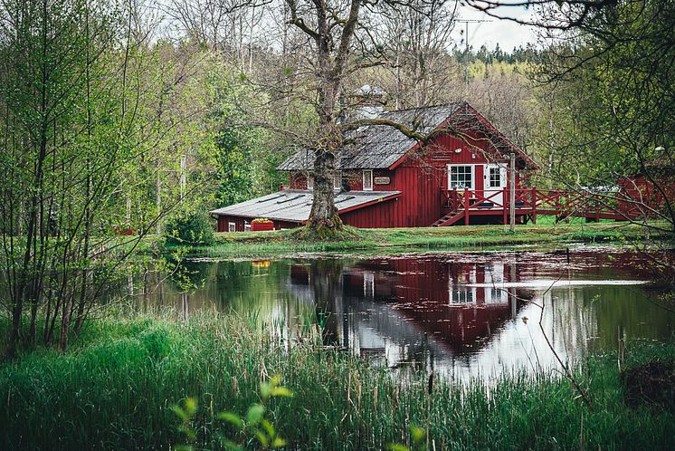 Knystaforsen Foto Knystadforsen 