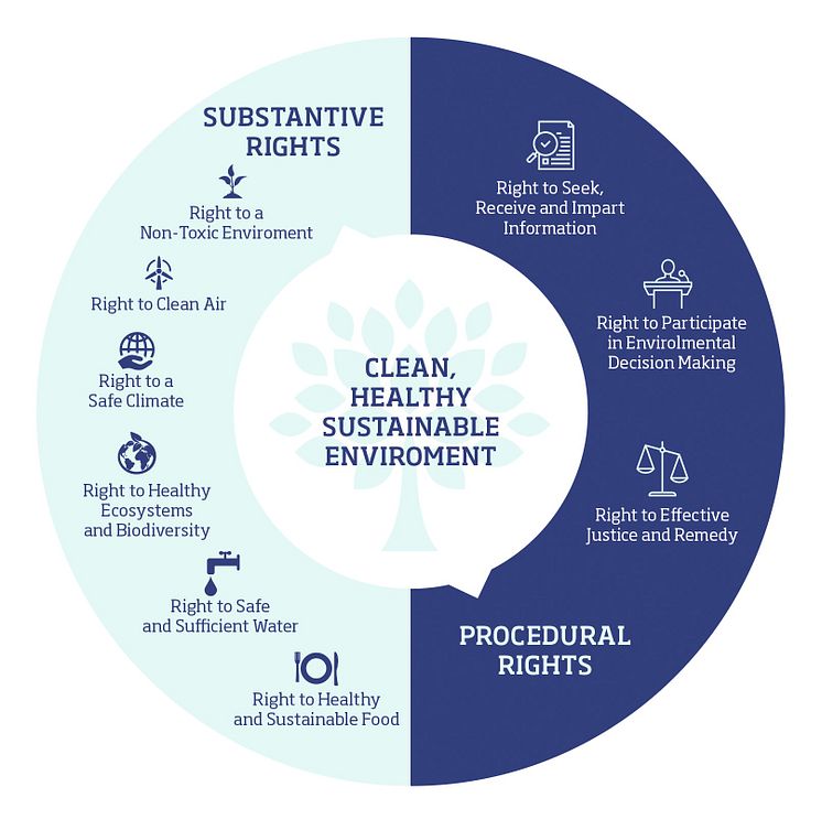 Right to a Healthy Environment, graphic