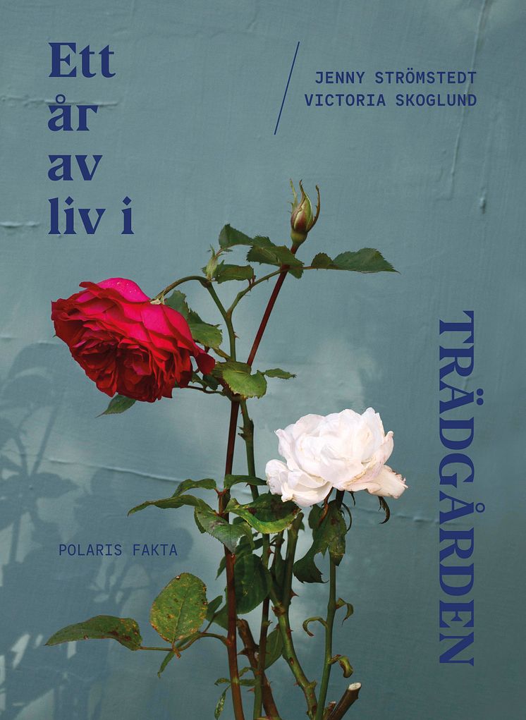 EttÅrAvLiv_cover