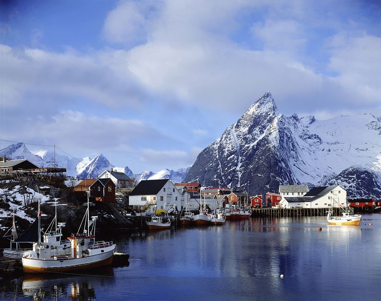 Lofoten, Hamnøy Norway