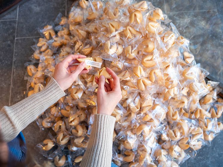 Félix González-Torres, Untitled (Fortune Cookie Corner), 1990. installation view