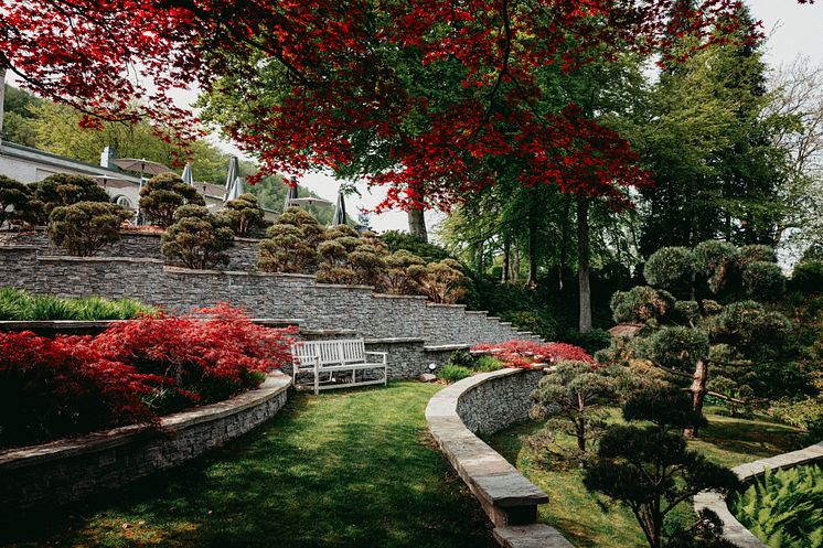 japanska_trädgården_maj_2024_6.jpg