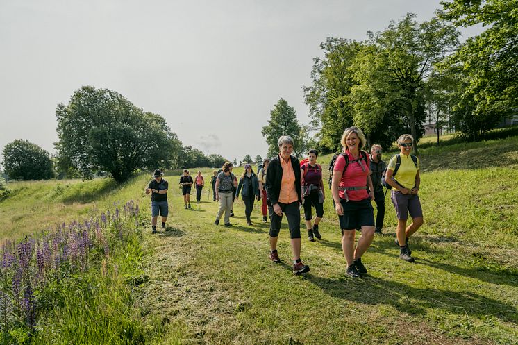 Gruppenwanderung_Oberwiesenthal_Foto TVE_Dirk_Rueckschloss.jpg