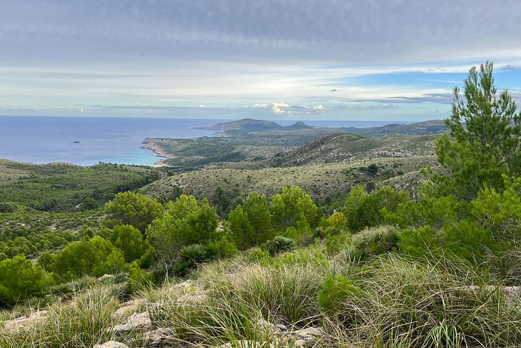 TUI Forest Mallorca_landscape3
