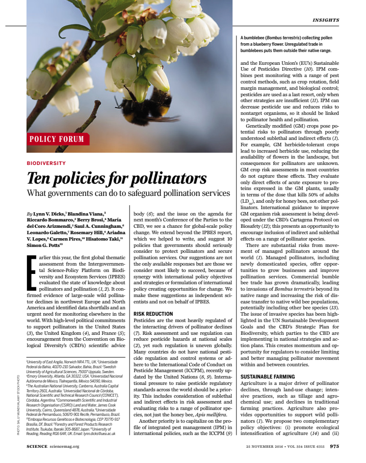 Tio åtgärder för framtidens pollinering